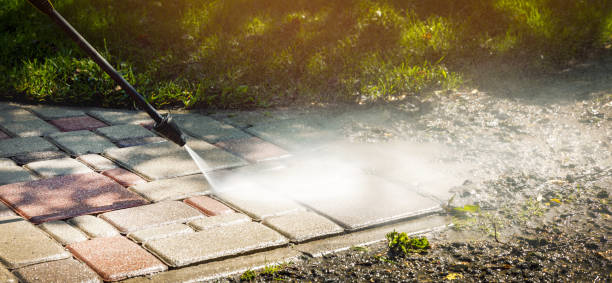 Best Fleet Vehicle Washing  in Trophy Clu, TX